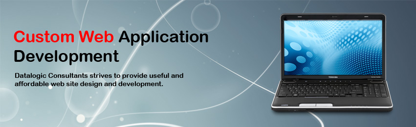 Custom Web Application Development