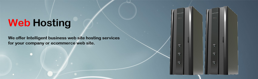 web Hosting